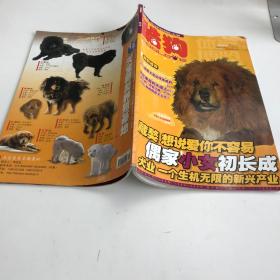 酷狗 2006年第1期 创刊号