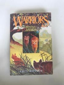 Warriors 4：Rising Storm 英文