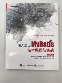 深入浅出MyBatis 技术原理与实战