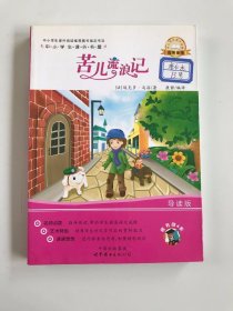 苦儿流浪记-中小学生课外读物（中小学生课外阅读推荐图书指定书目：嗜书郎4）