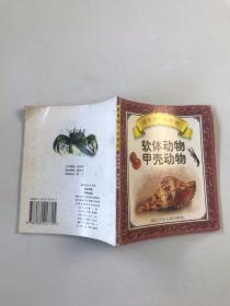 软体动物甲壳动物