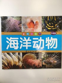 童眼识天下： 海洋动物