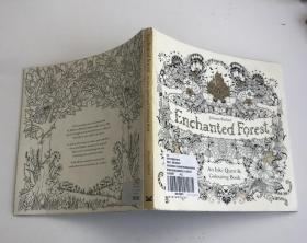 Enchanted Forest