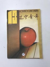 辽宁青年 1993年第13期 总第496期