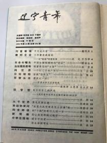 辽宁青年 1993年第13期 总第496期