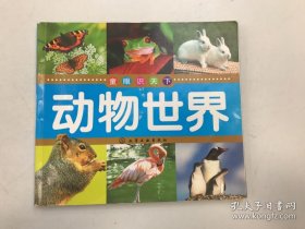 童眼识天下：动物世界