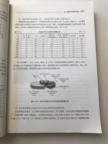 中国环境宏观战略研究.综合报告卷（下）