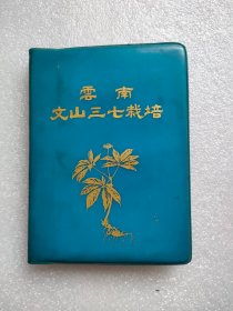 云南文山三七栽培，1970年