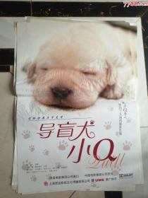 全开电影海报----导盲犬小Q（04）
