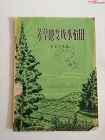 茅草地变成水稻田（上海文化出版社，1956年）0003.