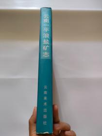 云南一平浪盐矿志（云南美术出版，2000年）