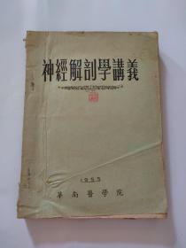 神经解剖学讲义（华南医学院，1955）