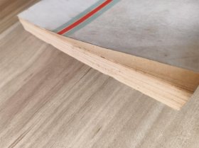 第二届亚洲杯象棋赛对局精选