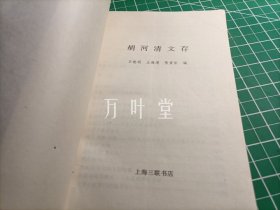 胡河清文存