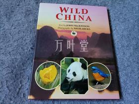 万叶堂英文 wild china