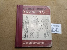 英文原版  the first book of drawing