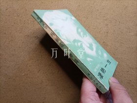 凄艳一生  ： 玛丽莲·梦露从影始末