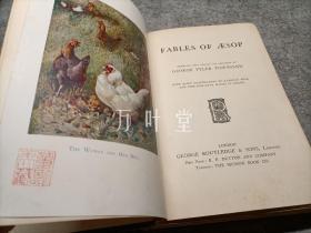 英文古董书  fables of aesop  伊索寓言  精装插图本