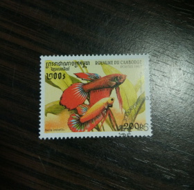 柬埔寨盖销邮票 1997年 热带鱼 Betta imbellis 英贝利斯 平斗鱼