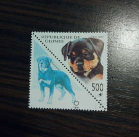 几内亚盖销票 1997年 宠物 罗威纳犬rottweiler 三角形邮票带附票