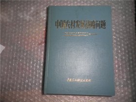 中国农村发展战略问题 P3233-31