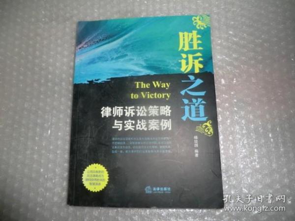 胜诉之道：律师诉讼策略与实战案例