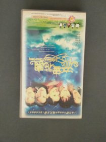 VCD：电视剧 流星花园 VCD光盘20张全套