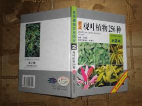 景观植物实用图鉴：精选观叶植物256种