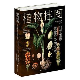 植物挂图：科学发展黄金阶段的艺术（120余幅精美挂图，解读多姿多彩的植物世界，精巧描绘植物生命的奥秘）