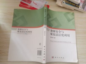 能源安全与煤炭清洁化利用