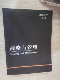 战略与管理2009年5/6期合编版（内 部版）