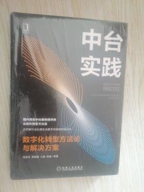 中台实践：数字化转型方法论与解决方案