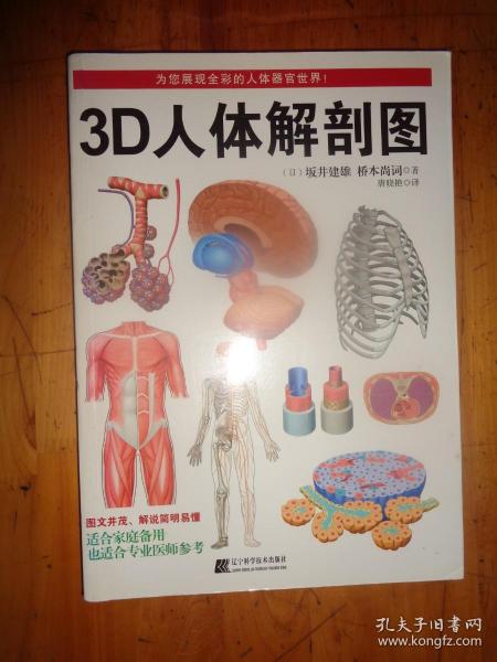 3D人体解剖图