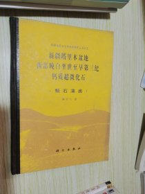 新疆塔里木盆地西部晚白垩世至早第三纪钙质超微化石: 颗石藻类 精装