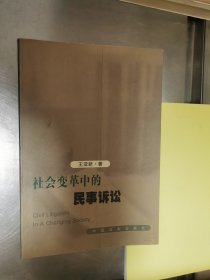 社会变革中的民事诉讼