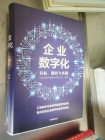 企业数字化 精装