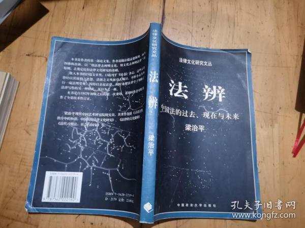 法辨：中国法的过去、现在与未来