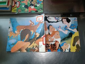 奇矮人