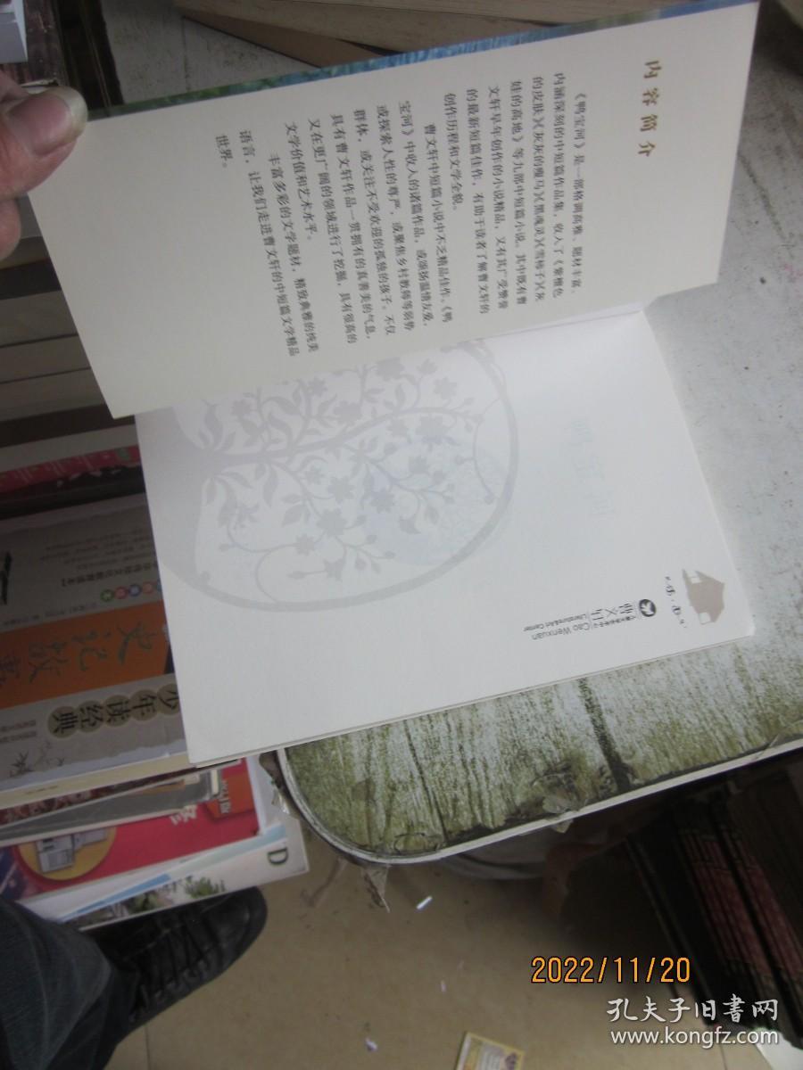 鸭宝河