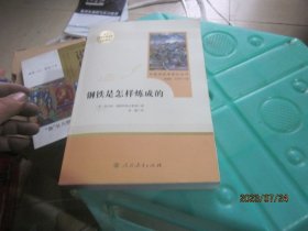 统编语文教材配套阅读 八年级下：钢铁是怎样炼成的/名著阅读课程化丛书