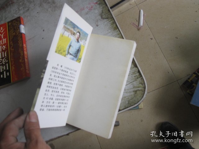 中国现代浪漫主义小说模式