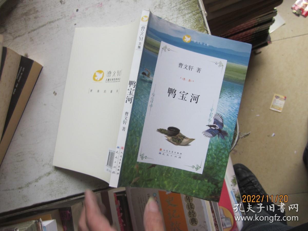 鸭宝河