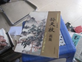 中国名家画集系列 孙天牧画集 珍藏版