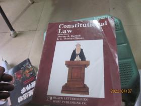 constitutional law