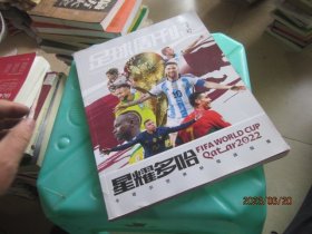 足球周刊增刊2022卡塔尔世界杯观战指南