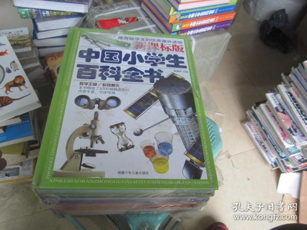 新课标版中国小学生百科全书（套装共4册）（附光盘）