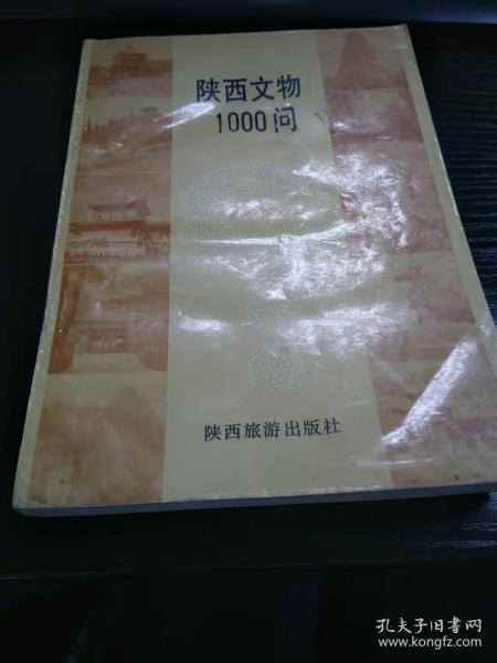 陕西文物1000问