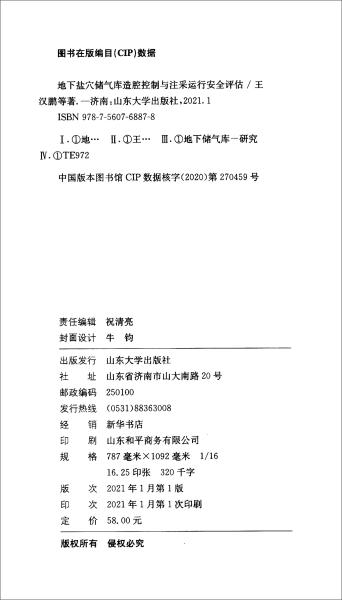 地下盐穴储气库造腔控制与注采运行安全评估