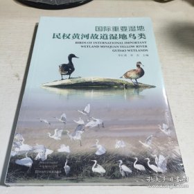 国际重要湿地民权黄河故道湿地鸟类