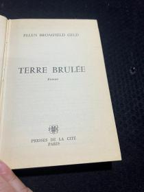 ELLEN BROMFIELD GELD TERRE BRULEE